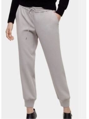 Aritzia Crepette Joggers